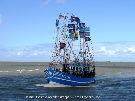 Kutterregatta in Neuharlingersiel Kutterregatta in Neuharlingersiel